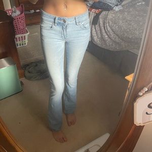 American eagle kick boot Jean